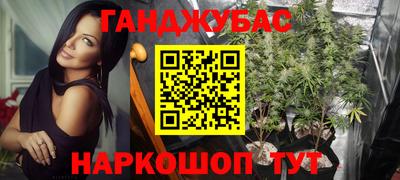 PSILOCYBIN Владивосток